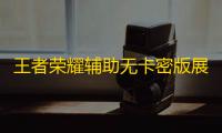 王者荣耀辅助无卡密版展示