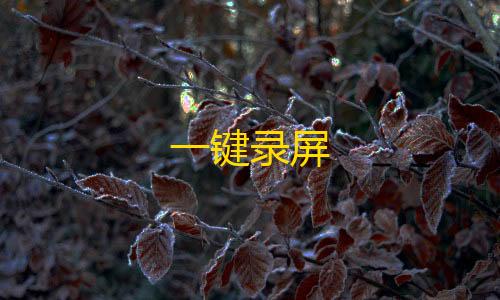 第五人格辅助网一键录屏